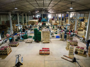 Una nueva industria eligió Cañuelas para expandirse: Salvita avanza en la construcción de su nueva planta en el Parque Industrial