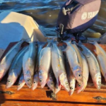 EL SECRETO DE LA LAGUNA DE MONTE PARA SU EXCELENTE MOMENTO DE PESCA